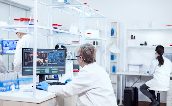 Ellorarxine publication in IJMS as part of the Special Issue From Molecules to Medicines: Exploring Neurodegenerative Pathways for Targeted Neuropharmacology