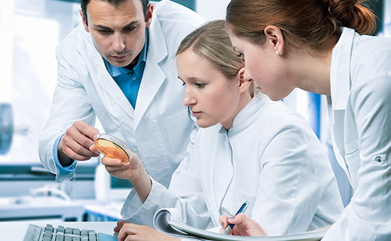 Safety studies neuroscience CNS